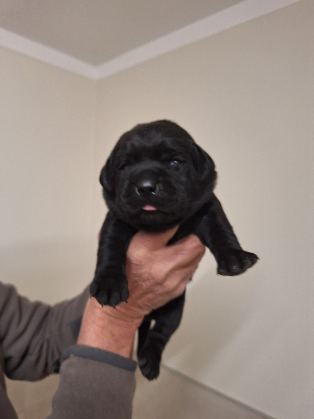 la portée 2025 a 2 semaines